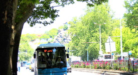 gradski_transport