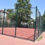 regioni v rastej-final (11)