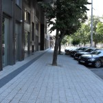 regioni v rastej-final (21)