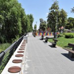 regioni v rastej-final (4)