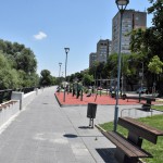regioni v rastej-final (6)
