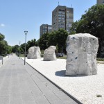 regioni v rastej-final (8)