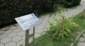 vandalizam_etnogradina_4
