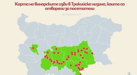 vin karta