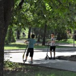 безопасност на движението (14)
