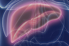 Banner-HepC-Index