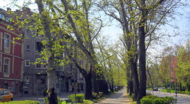 chinari_ruski