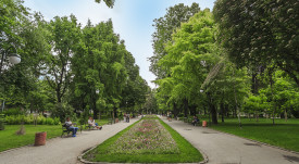 Цар_Симеонова градина