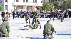 военни демонстрации (2)
