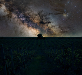 longexposure-nightphotography