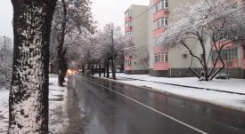 zimna_obstanovka_27_01