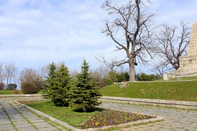 bunardjika_6