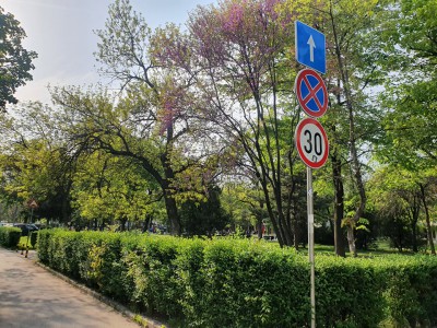 ednoposochno_iztochen_1