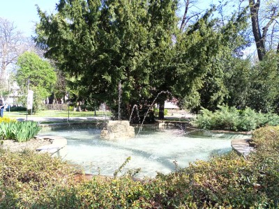 gradinata_3