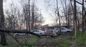 gradini_grebnata_6