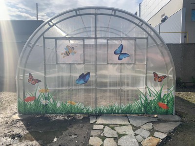 Зелена класна стая (3)