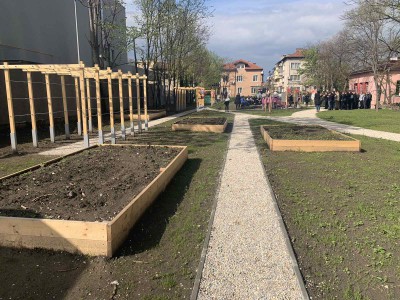 Зелена класна стая (4)