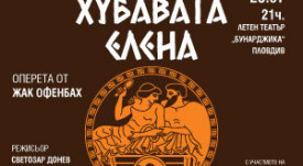 300на250-elena