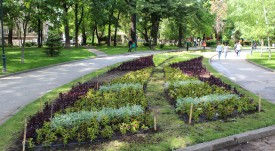 car_simeonova_gradina_7