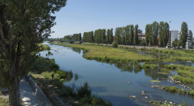 Река Марица - почистване на коритото