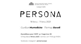 Digitalna Pokana-Web-Persona