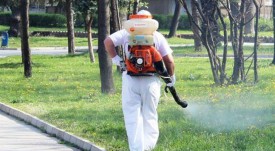 Пловдив - пръскане -комари