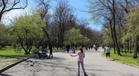 park_lauta