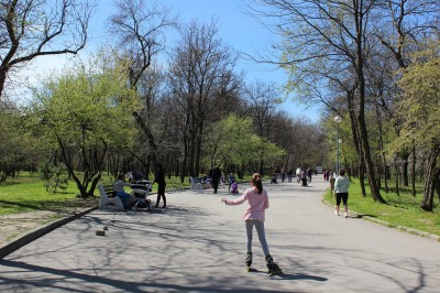 park_lauta