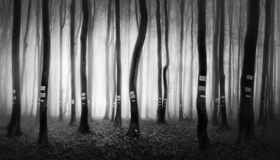 veselinatanasov__1_
