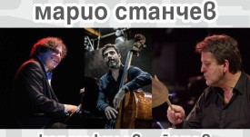 плакат