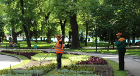 gradini_rabotnici
