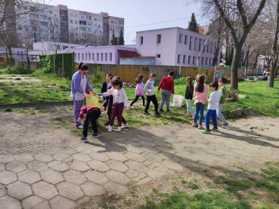 Чисто зелено (15)