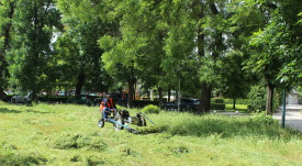 kosene
