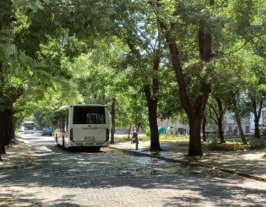 dame_gruev