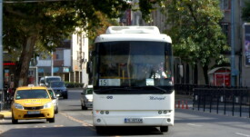 15 (1)