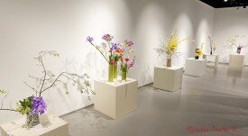 Miracle-ikebana-Cvetnica-izlojba
