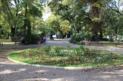 esenni_cvetq_1