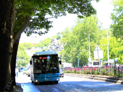 gradski_transport