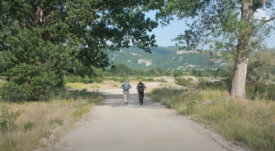 Image1