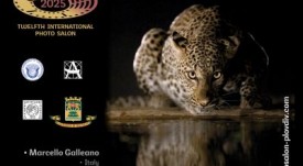 12th_Plovdiv_2025_is_OPEN