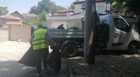 press_mladejki_halm (1)