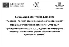 baner-zelen