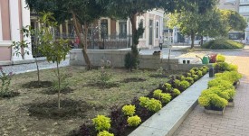 tsvetya (2)