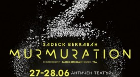 MURMURATION3