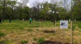 DenyaNaZemyataSNovoZalesyavaneVParkLauta2