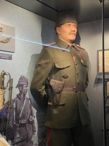 BitkitePriChanakkale2